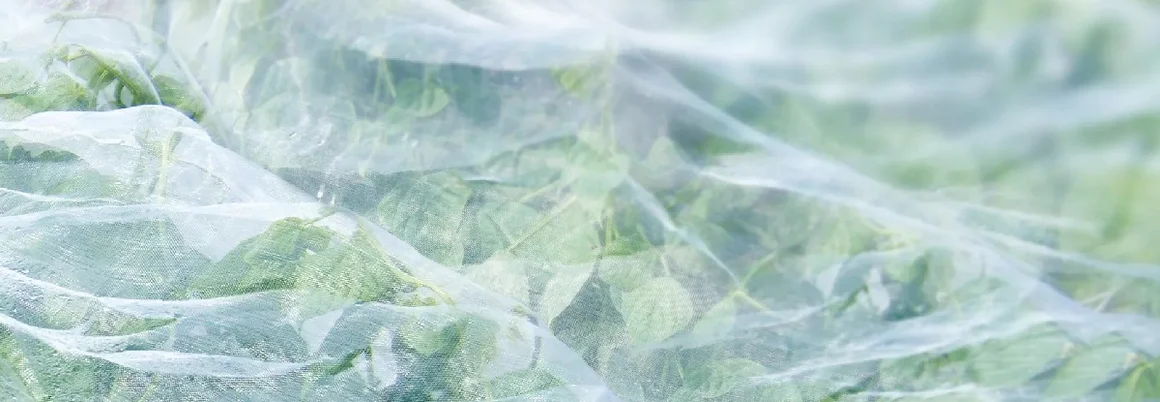 Grünes Blattwerk unter Insektenschutznetz